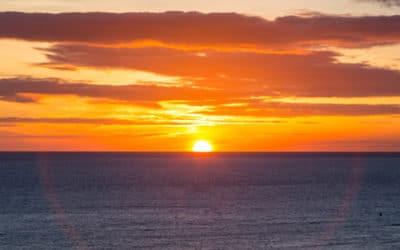 Pacific Whale Foundation: Sunset Dinner Cruise from Lahaina