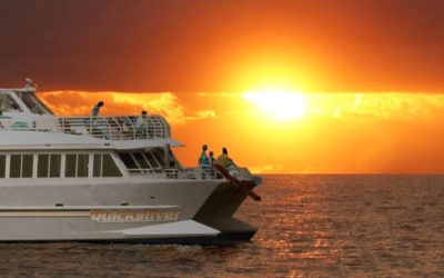 Maui Romantic Night with Quicksilver Sunset Dinner Cruise (Lahaina)