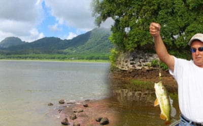 Koloa Bass Freshwater Fishing Tour