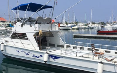 Ocean Encounters – Deep Sea Fishing Charter