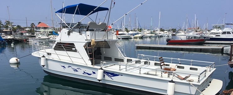 Ocean Encounters – Deep Sea Fishing Charter