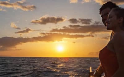 Sunset Cocktail Cruise and Whale Watching Aboard Pacific Whale Foundation’s Vessels (Departing From Ma’alaea)