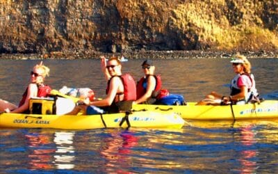 Deluxe Afternoon Kayak and Snorkel at Kealakekua Bay