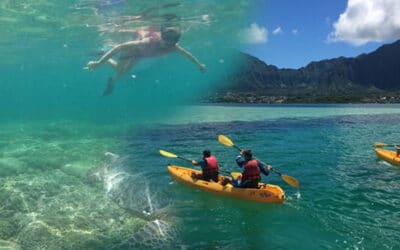 Kama’aina Kayak and Snorkel Eco-Ventures – Guided Kayak and Snorkel Educational Adventure