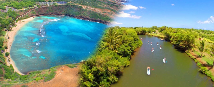 North Shore Beach Bus – Hanauma Bay & North Shore Beach Tour