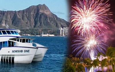 Semisub – Friday Fireworks Cruise