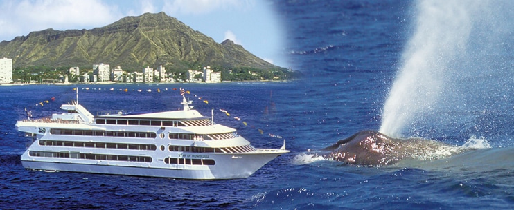 Star of Honolulu – Premier Whale Watch Cruise & Lunch