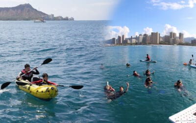 Waikiki Ocean Sports – Turtle Snorkel