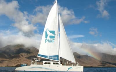 Pacific Whale Foundation – Ocean Spirit Snorkel Sail on Honolua Bay