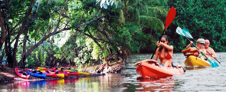 Wailua River Kayak and Waterfall Hike Tour by Rainbow Kayak Tours