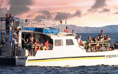 Malolo Charters – Malolo Snorkel Cruise