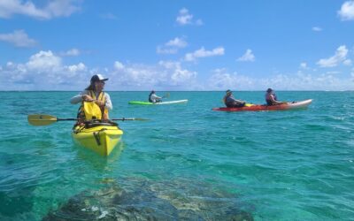 Twin Islands Guided Kayak Tour by Kailua Beach Adventures