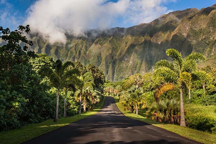 East Coast to Mountain Loop – Navigation Guided | Honolulu, Oahu