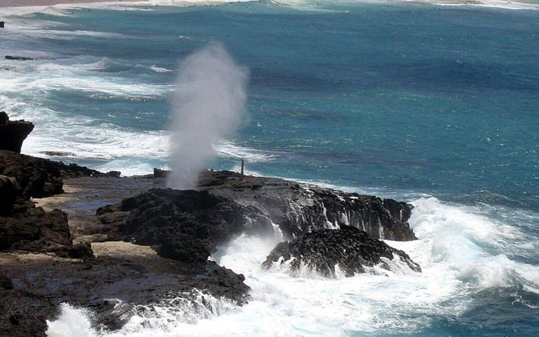 Full Island Slingshot Adventure Tour – Navigation Guided | Honolulu, Oahu