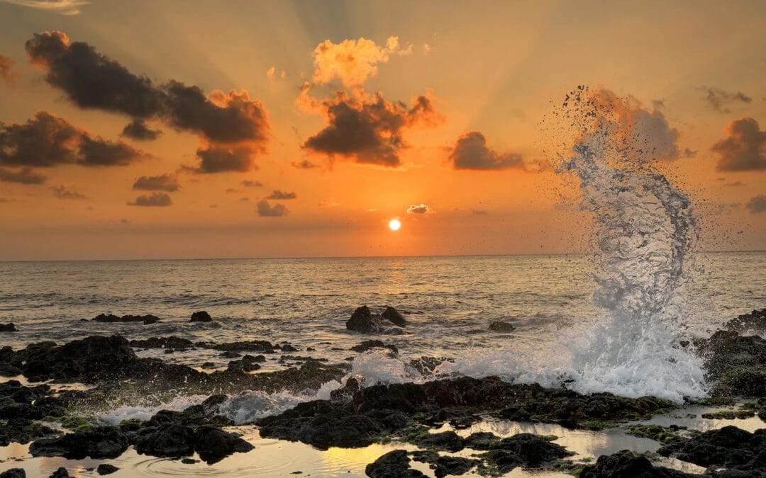 Sunrise Tour | Honolulu, Oahu