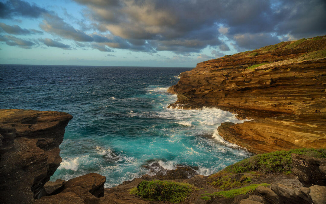 Island Tour | Honolulu, Oahu