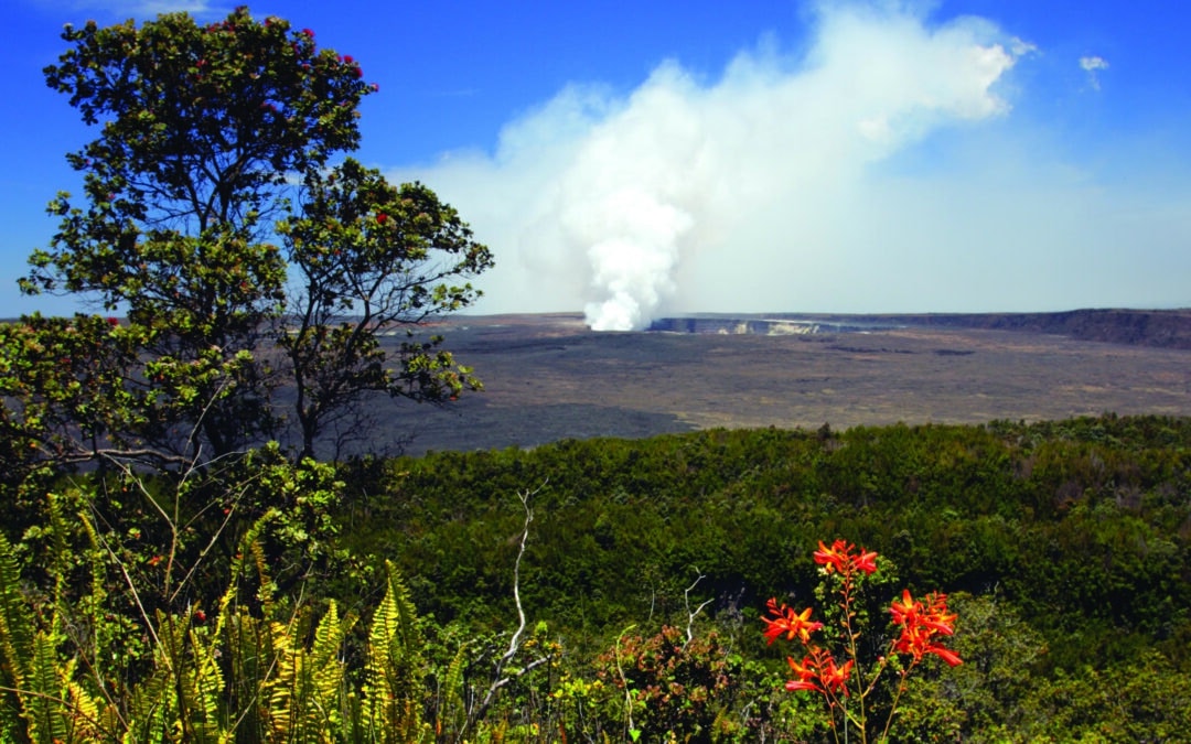 Hawaii Grand Circle Island & Volcano Tour from Kailua -Kona – Hakalau HI | Honolulu, Oahu