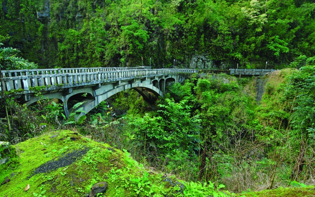 Road to Hana Adventure Tour M2 | Honolulu, Oahu