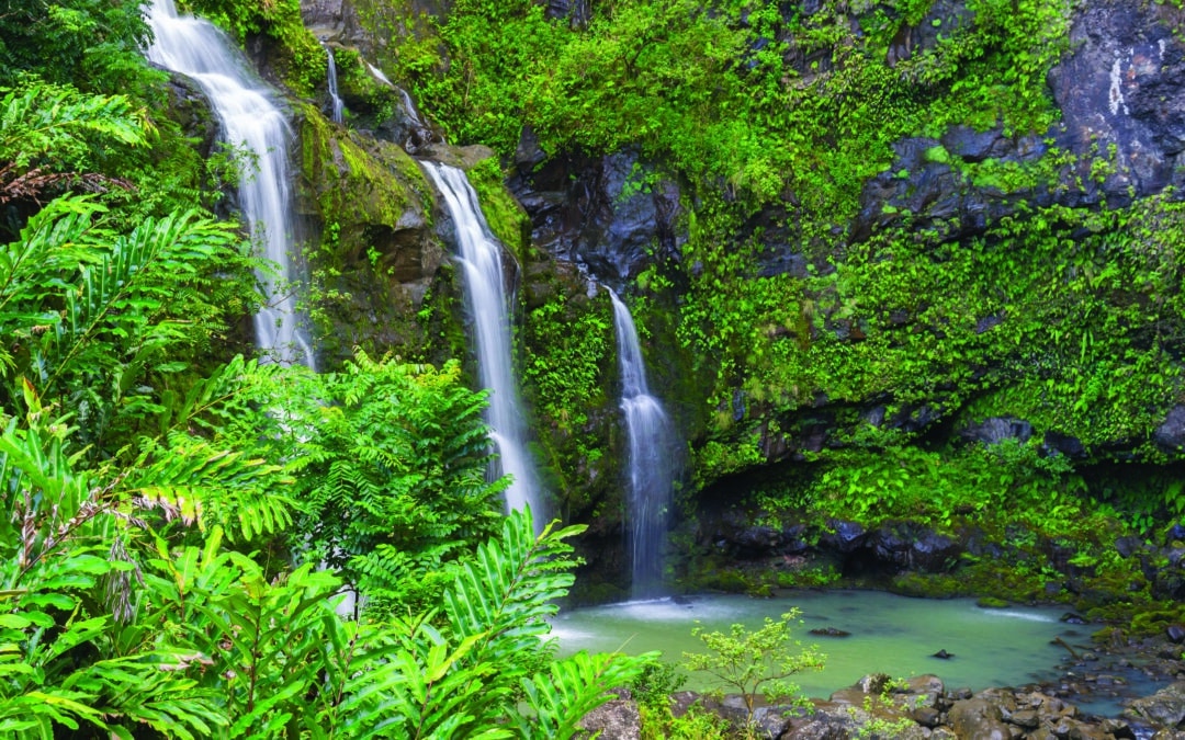 Road to Hana GOLD Adventure Tour (Lunch Included) M2G | Honolulu, Oahu