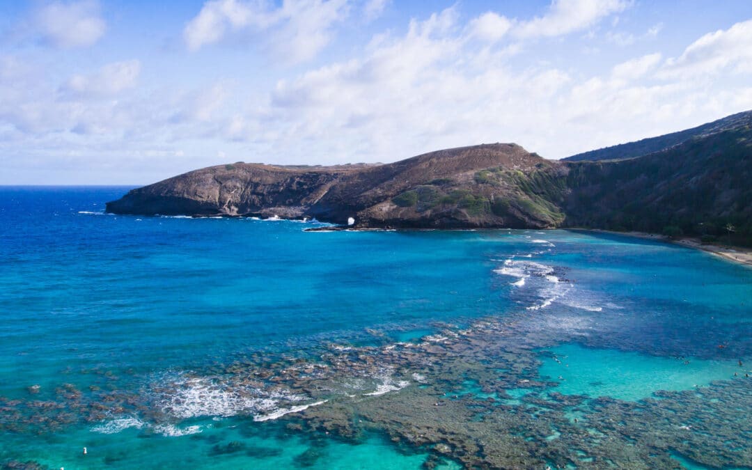 Oahu Grand Circle Island Tour – Halona Blowhole, Waimea Valley & Dole Plantation GOLD 7BG