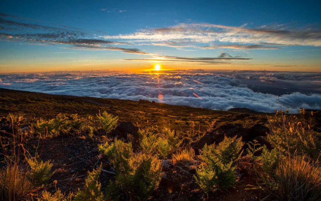 Haleakala Summit & Stroll | Kahului, Maui