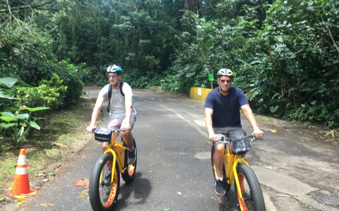 Manoa Valley-Tropical Gardens Bike to Hike Tour, lunch included | Honolulu, Oahu