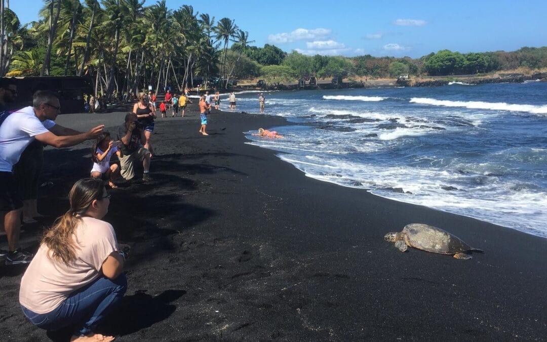 Small Group Big Island Tour – Hawaii Volcanoes National Park and Kona Coffee Farm | Kailua Kona, Big Island