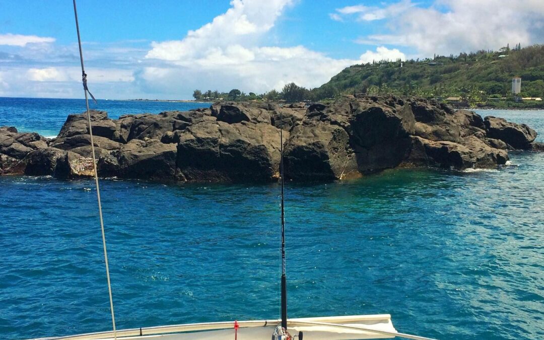 3 Hour Afternoon Snorkel Tour & Sail -Haleiwa, Oahu