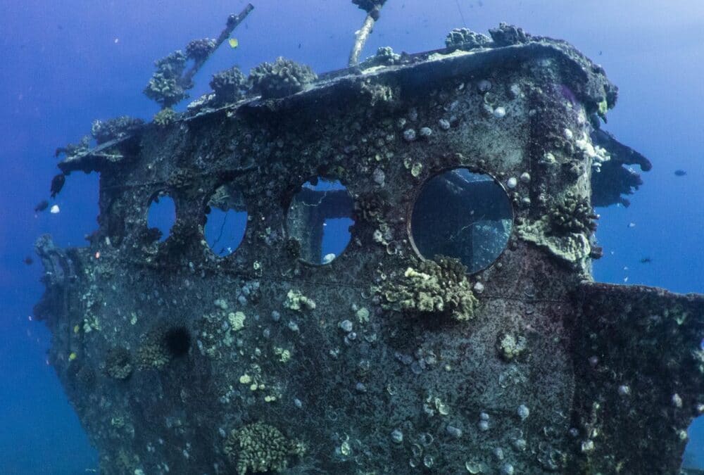 Deep and Shallow Dive | Honolulu, Oahu