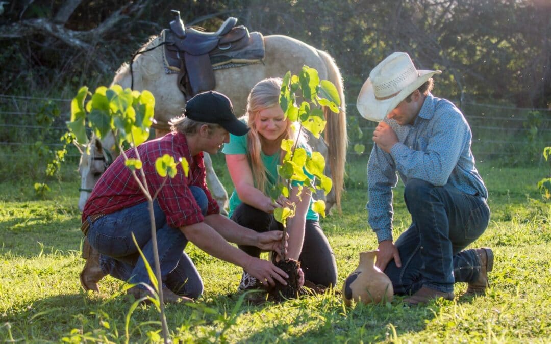 Horseback Planter’s Experience | Kahuku, Oahu