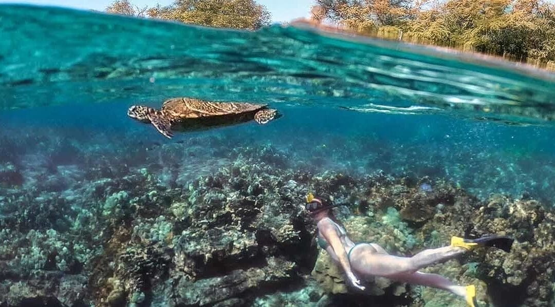 Seafari & Discover Pawai Reef Snorkel | Kailua Kona, Big Island