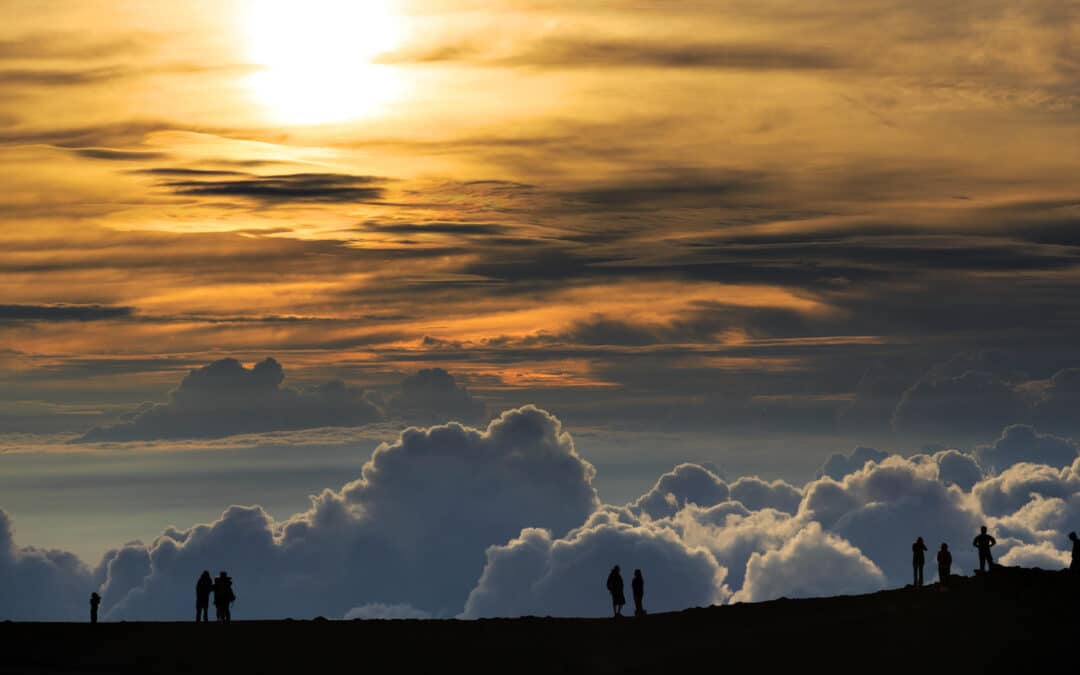 Haleakala Sunset Tour (Dinner Included) M5 | Honolulu, Oahu