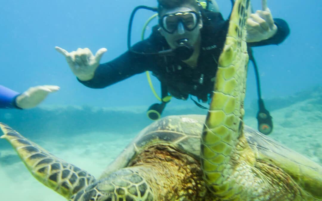 Advanced Boat Dive | Honolulu, Oahu