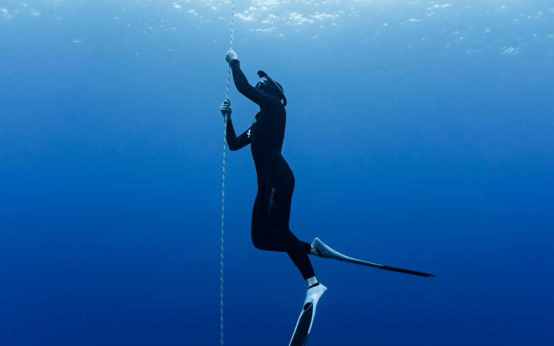 Level 1 Freediver