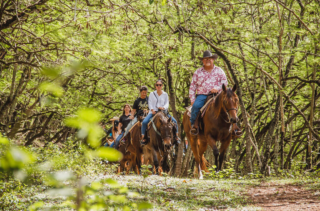 1 Hour Scenic Horseback Ride | Kahuku, Oahu