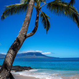 Discover the Best Beaches on the Island of Maui