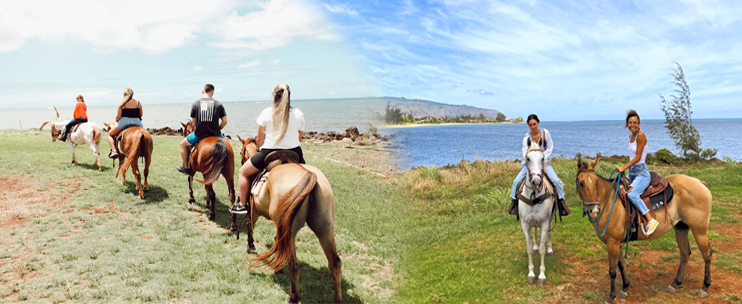 Explore Oahus North Shore on a Horseback Trail Ride