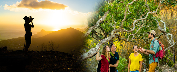 Oahu Sunset on the Ridge: A Serene Forest Walk and Breathtaking Sunset Tour