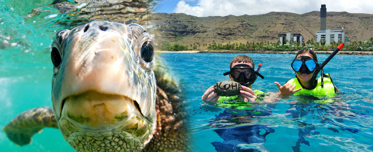 The Hawaii Real Nature Tour: Explore the Untouched Beauty of West Oahu