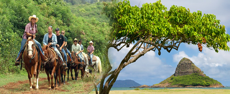 Unbeatable Value: Oahu Sightseeing Tours at Competitive Prices