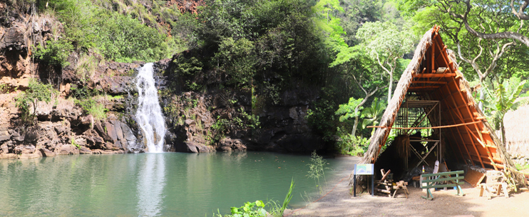 Waimea Waterfall Hike and Swim Tour in Oahu, Hawaii