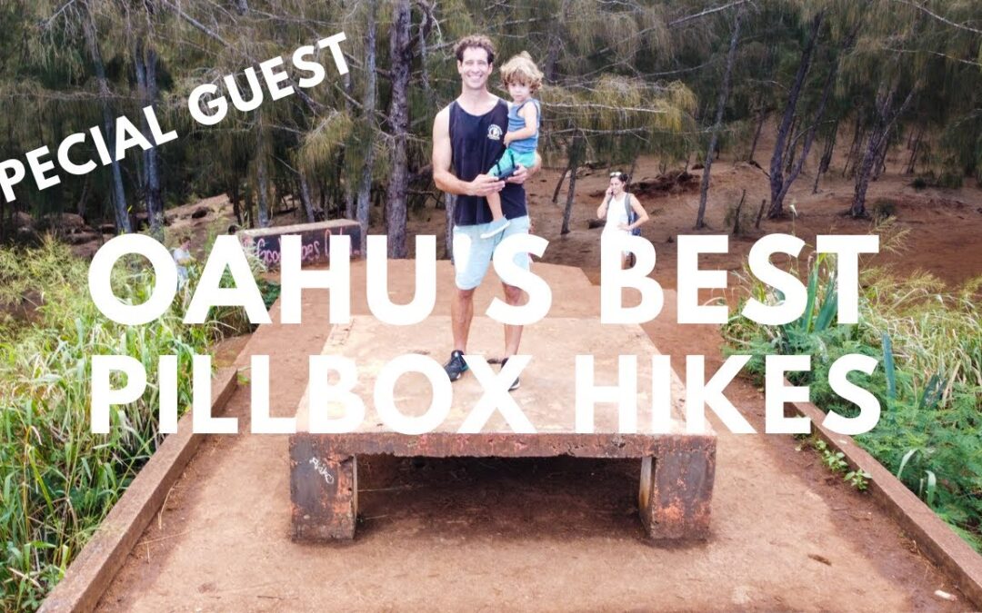 All of Oahu’s Pillbox Hikes Explained (plus the history): 5 Honolulu Pillbox Hikes