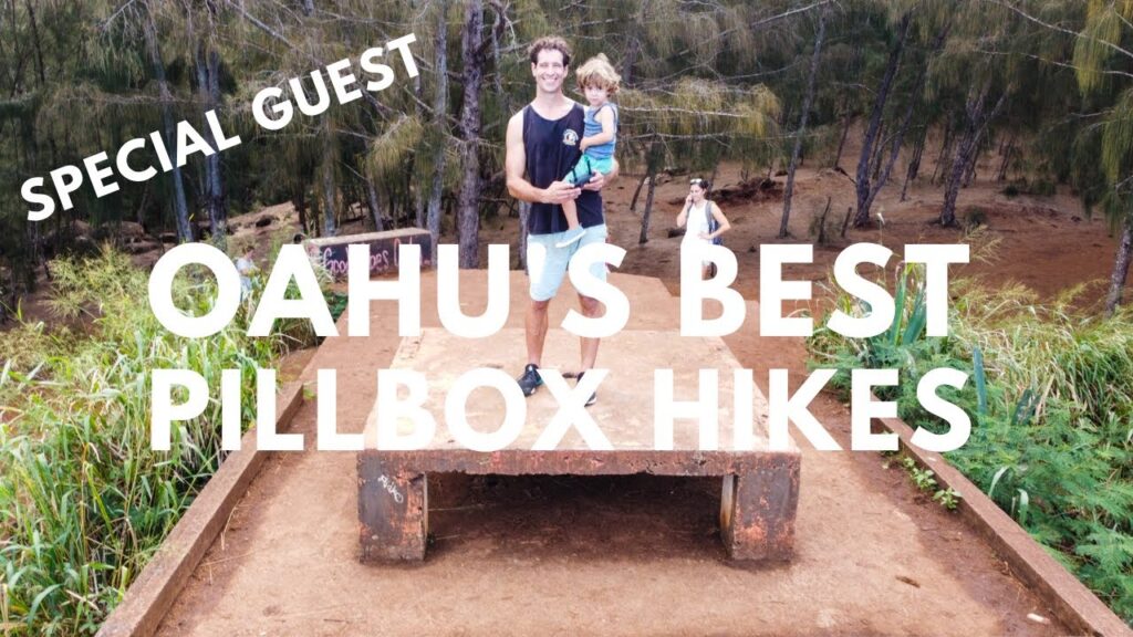 All of Oahus Pillbox Hikes Explained (plus the history): 5 Honolulu Pillbox Hikes