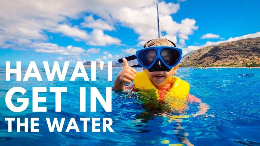 The Oahu Snorkel Tour You Shouldn’t Miss | turtles, dolphins, and everyone can go