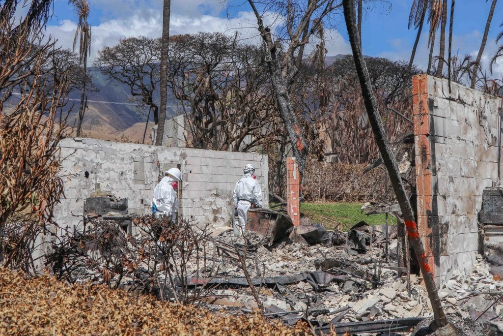 EPA workers finding many batteries during  hazardous material cleanup of Lahaina burned area