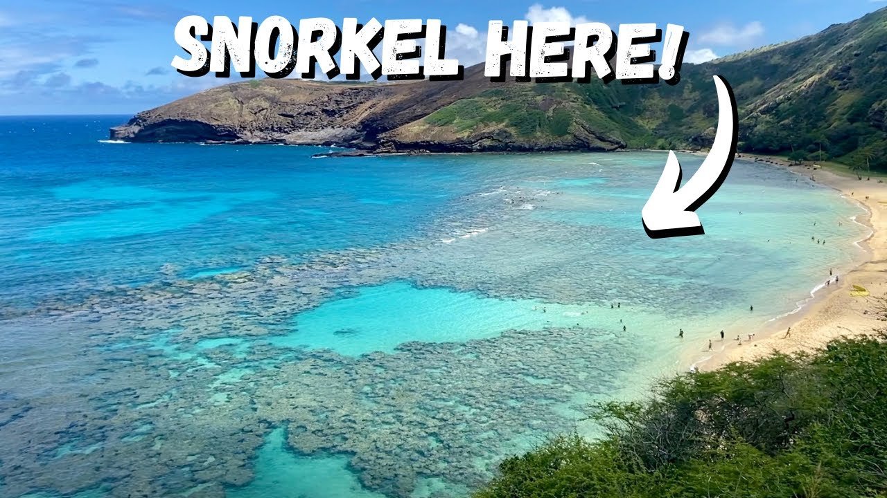 Hanauma Bay - THE BEST Hawaii Beach for Snorkeling | Everything you need to know to go