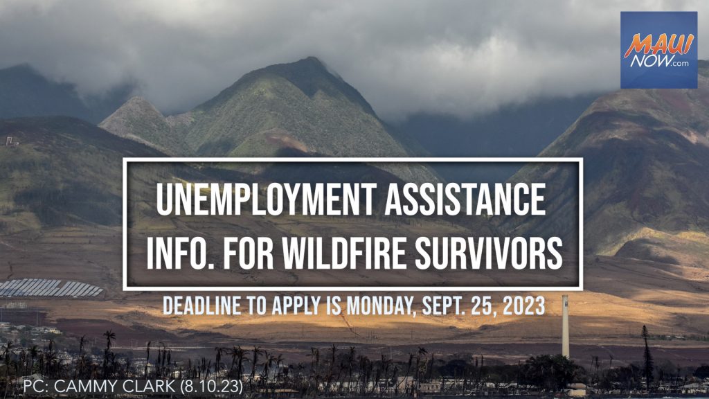 Maui wildfire recovery: resources and updates for Sept. 5