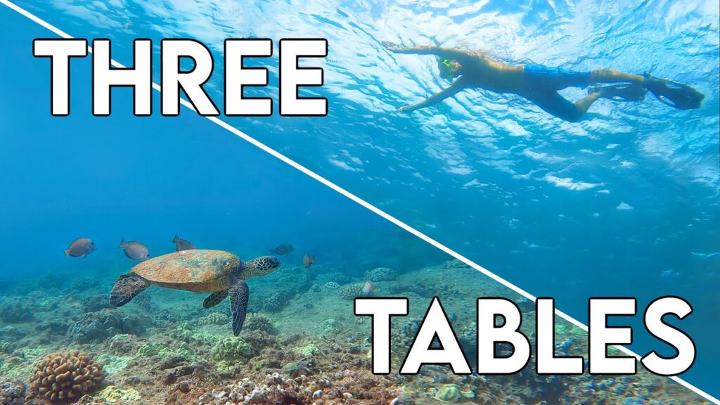 Snorkeling at Three Tables | Oahu Snorkeling Spots | Best places to snorkel HAWAII