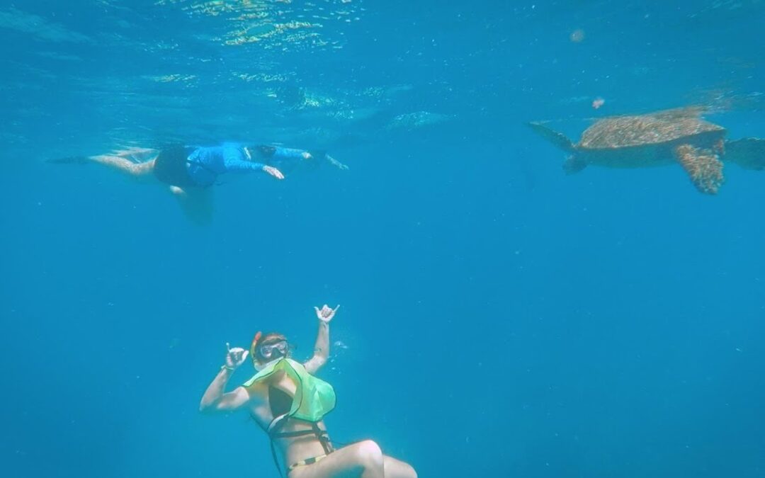 Turtle Canyon Snorkel Cruise By Catamaran In Oahu 1