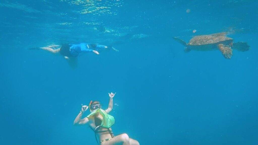 Turtle Canyon Snorkel Cruise by Catamaran in Oahu